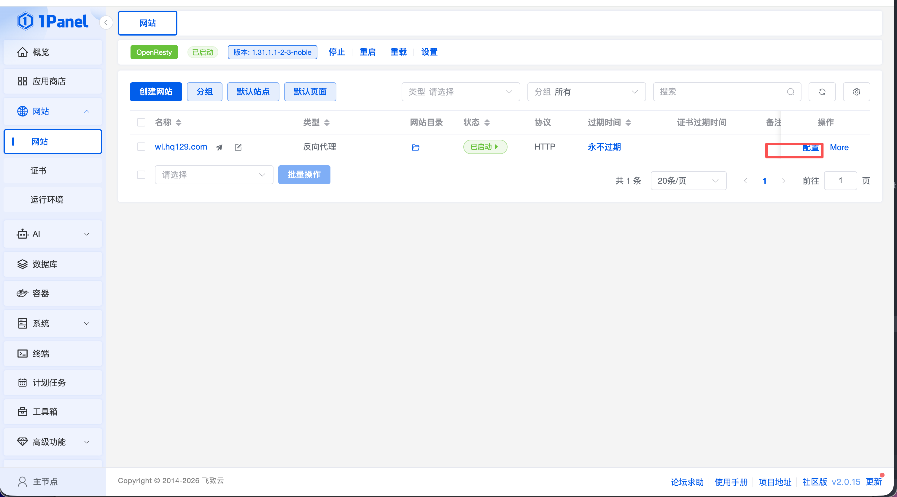进入网站配置